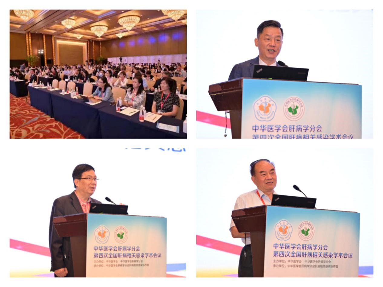 聚焦學(xué)術(shù)前沿，共迎肝病防治新征程！福瑞股份以學(xué)術(shù)助力中醫(yī)藥發(fā)展